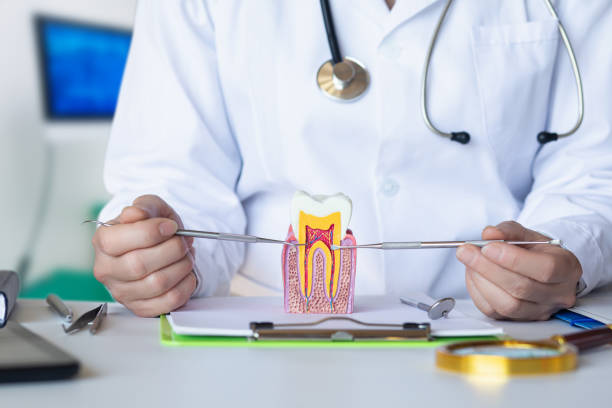 Best Dentist for Tooth Abscess  in Manatee Road, FL